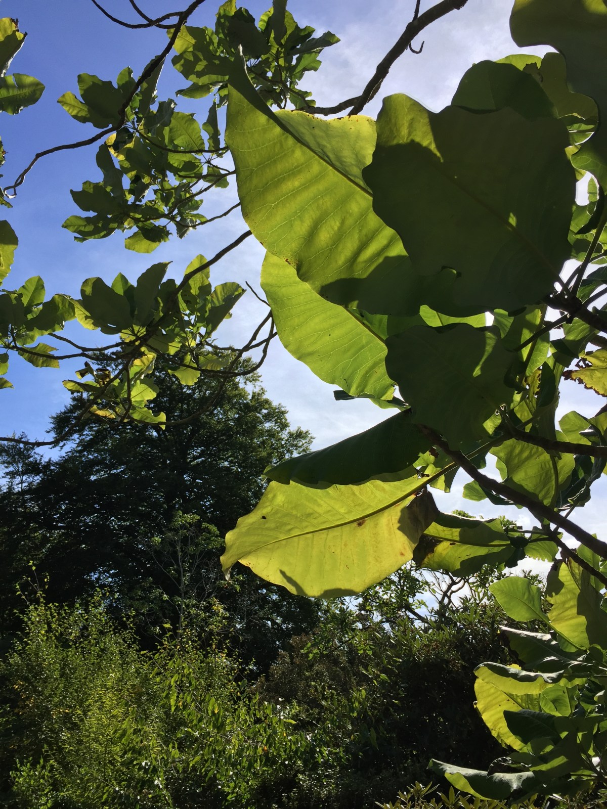 New Year, New&nbsp;You!