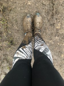 eNpARO3cRdqZhcZFm3kQFg